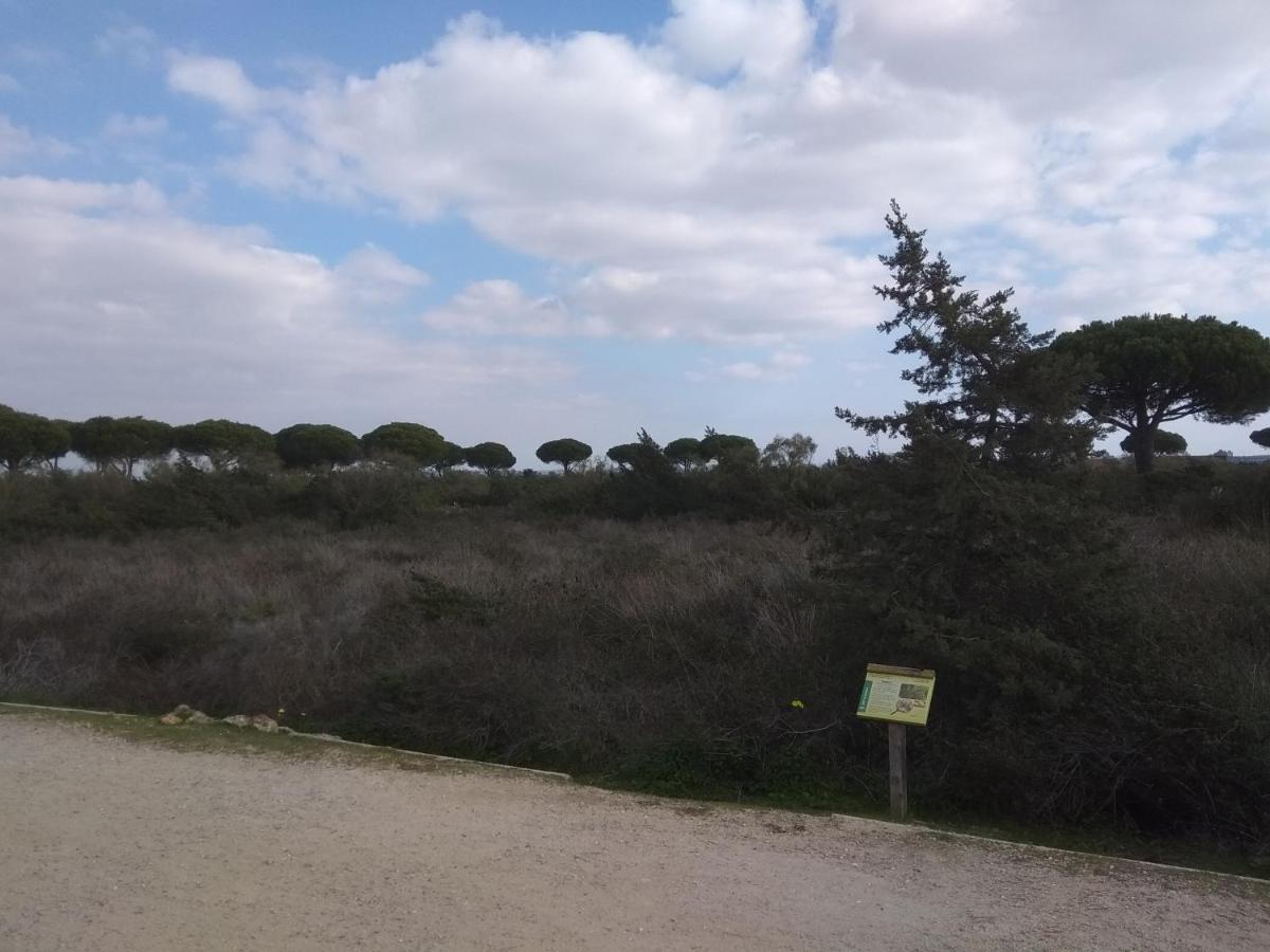 Tu Denscanso En Valdelagrana Frente Al Mar El Puerto de Santa Maria Luaran gambar